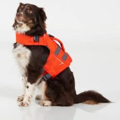 NRS CFD Dog Life Jacket -4Corners Riversports 40023 02 Orange Small26lbs ModelSitting 031022 1000x1000 91600207 28a6 4411 8947 887af0e94abb